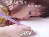 银川伊翔旅行社有限公司