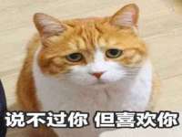 银川伊翔旅行社有限公司