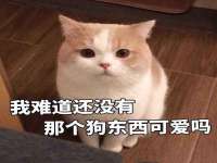 银川伊翔旅行社有限公司