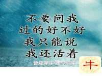 银川伊翔旅行社有限公司