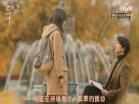 银川伊翔旅行社有限公司