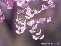 银川伊翔旅行社有限公司