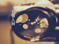 银川伊翔旅行社有限公司