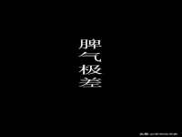 银川伊翔旅行社有限公司
