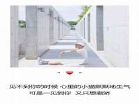 银川伊翔旅行社有限公司