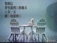 银川伊翔旅行社有限公司