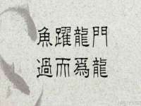 银川伊翔旅行社有限公司