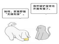 银川伊翔旅行社有限公司