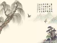 银川伊翔旅行社有限公司