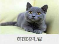 银川伊翔旅行社有限公司