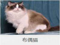 银川伊翔旅行社有限公司