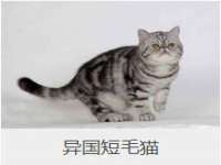 银川伊翔旅行社有限公司