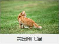银川伊翔旅行社有限公司