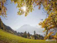 银川伊翔旅行社有限公司