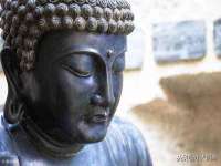银川伊翔旅行社有限公司