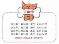 银川伊翔旅行社有限公司