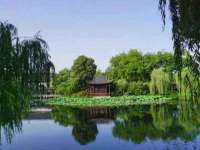银川伊翔旅行社有限公司