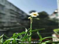 银川伊翔旅行社有限公司