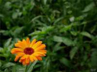 银川伊翔旅行社有限公司