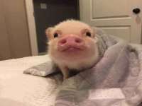 银川伊翔旅行社有限公司