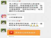 银川伊翔旅行社有限公司