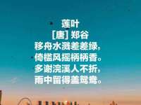 银川伊翔旅行社有限公司