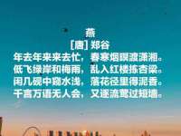 银川伊翔旅行社有限公司