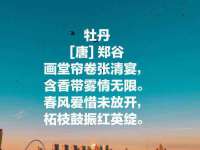 银川伊翔旅行社有限公司