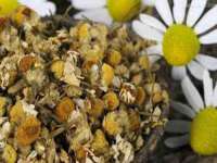 银川伊翔旅行社有限公司