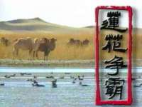 银川伊翔旅行社有限公司