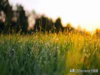 银川伊翔旅行社有限公司
