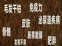 银川伊翔旅行社有限公司