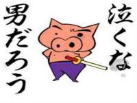 银川伊翔旅行社有限公司