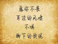 银川伊翔旅行社有限公司