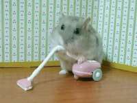 银川伊翔旅行社有限公司
