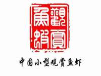 银川伊翔旅行社有限公司