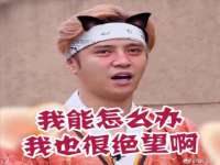 银川伊翔旅行社有限公司