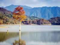 银川伊翔旅行社有限公司