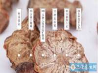 银川伊翔旅行社有限公司