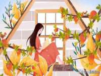 银川伊翔旅行社有限公司