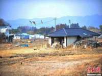 银川伊翔旅行社有限公司