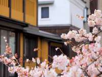 银川伊翔旅行社有限公司